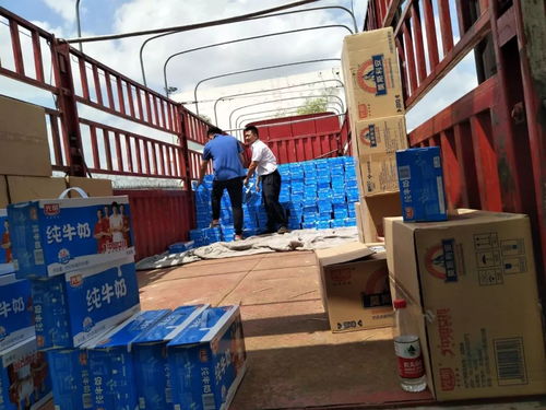 榆林機場公司單日貨郵吞吐量創新高，貴陽活動板房助力航空物流高效發展